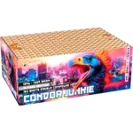 Lesli Feuerwerksbatterie Condor Junkie